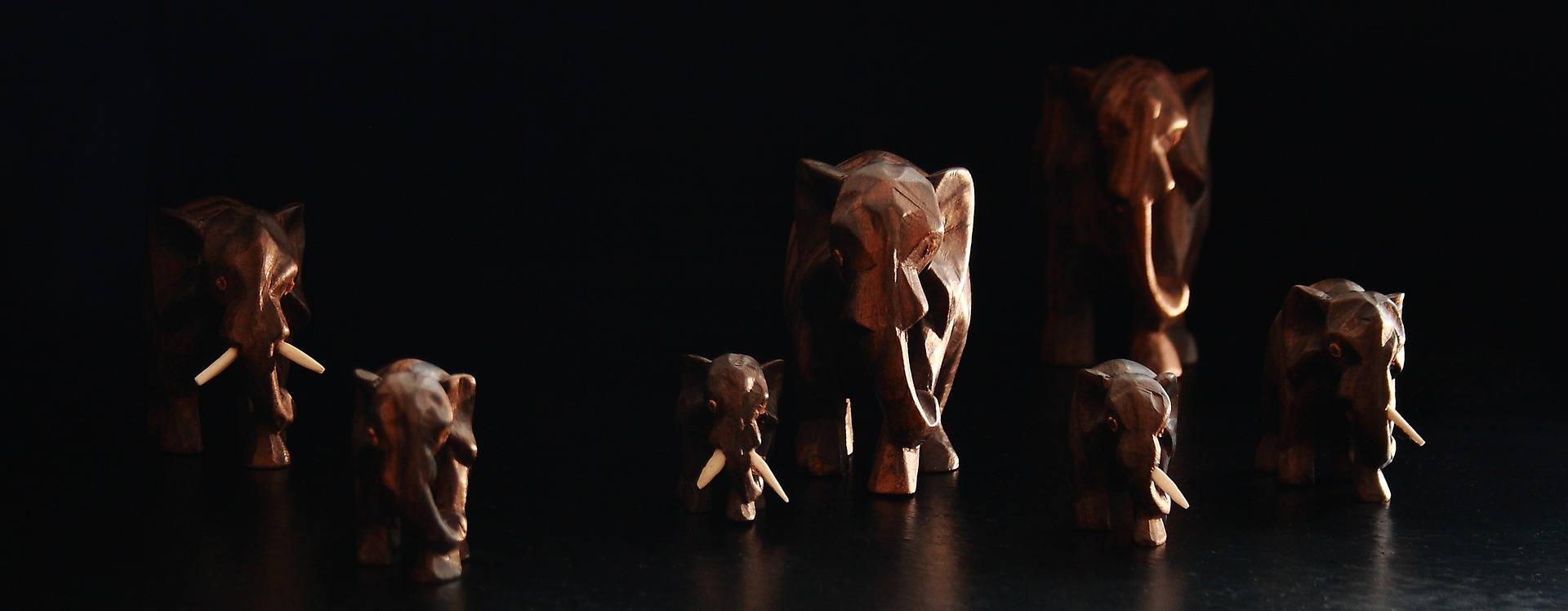 Elephants at Buckingham Palace - London Airport Transfers