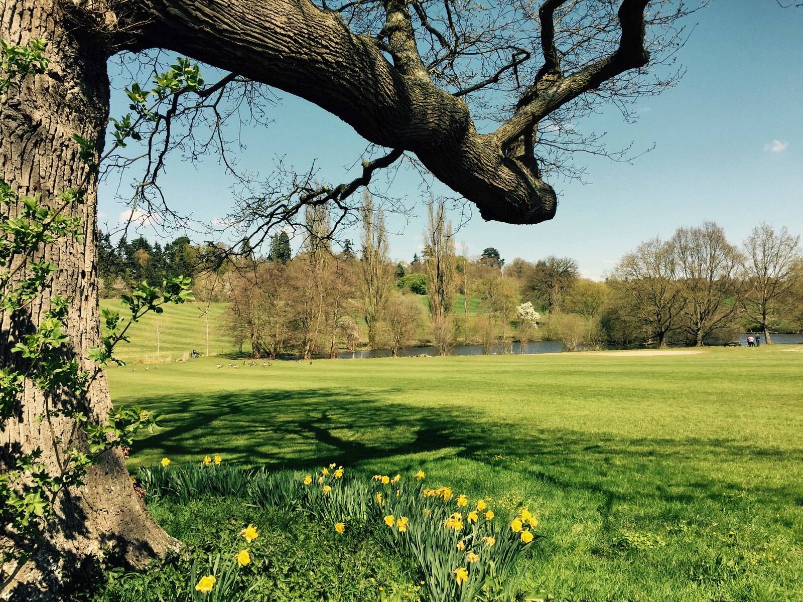 The doors of Loseley Park gardens re open - London Airport Transfers
