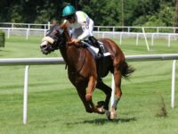 10 Ascot Racing Facts - London Airport Transfers